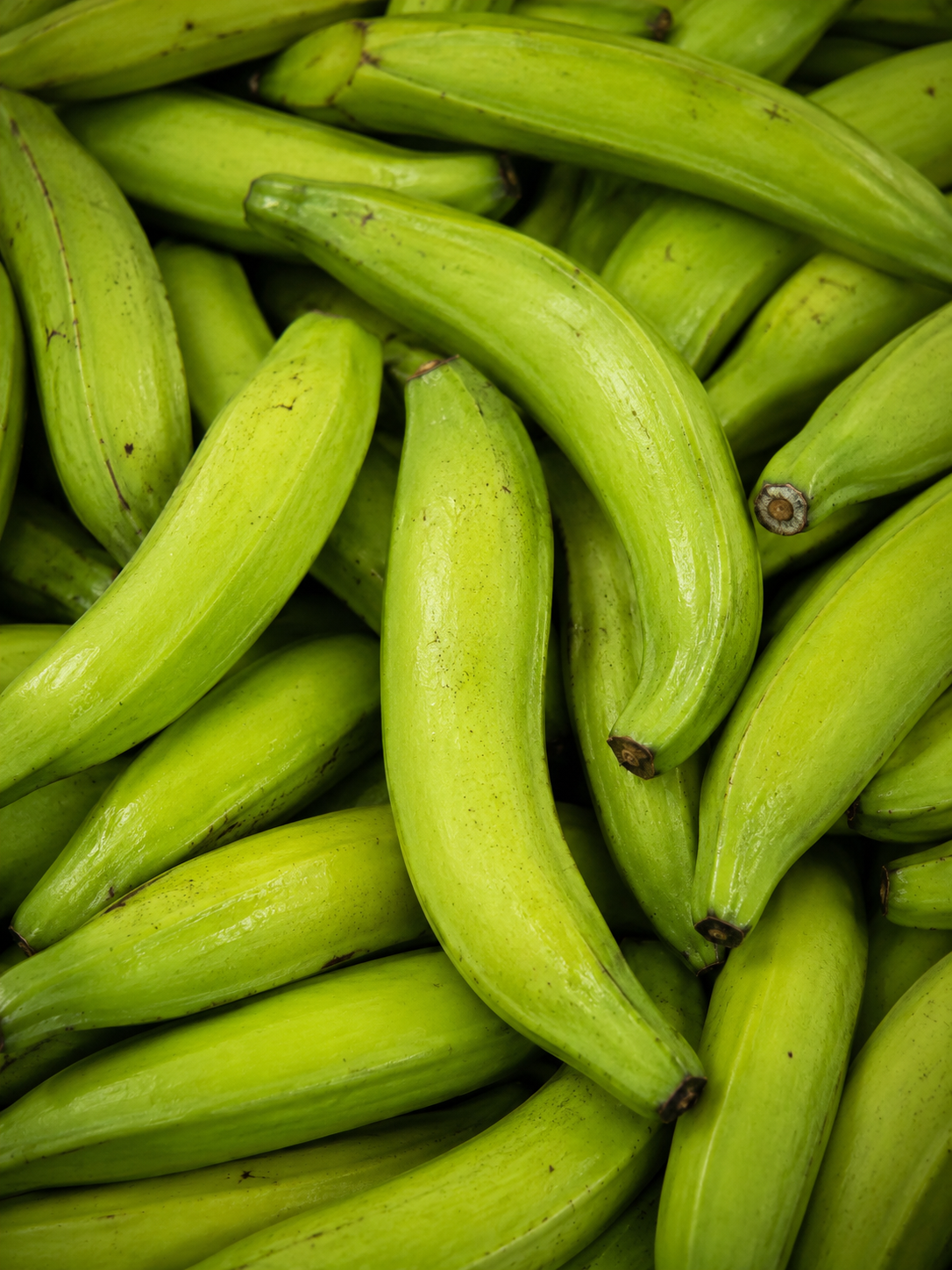 Plátano