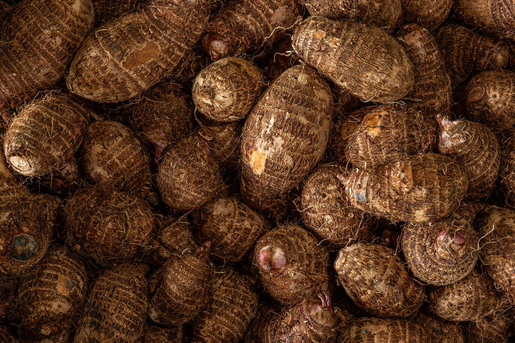 Ñampi