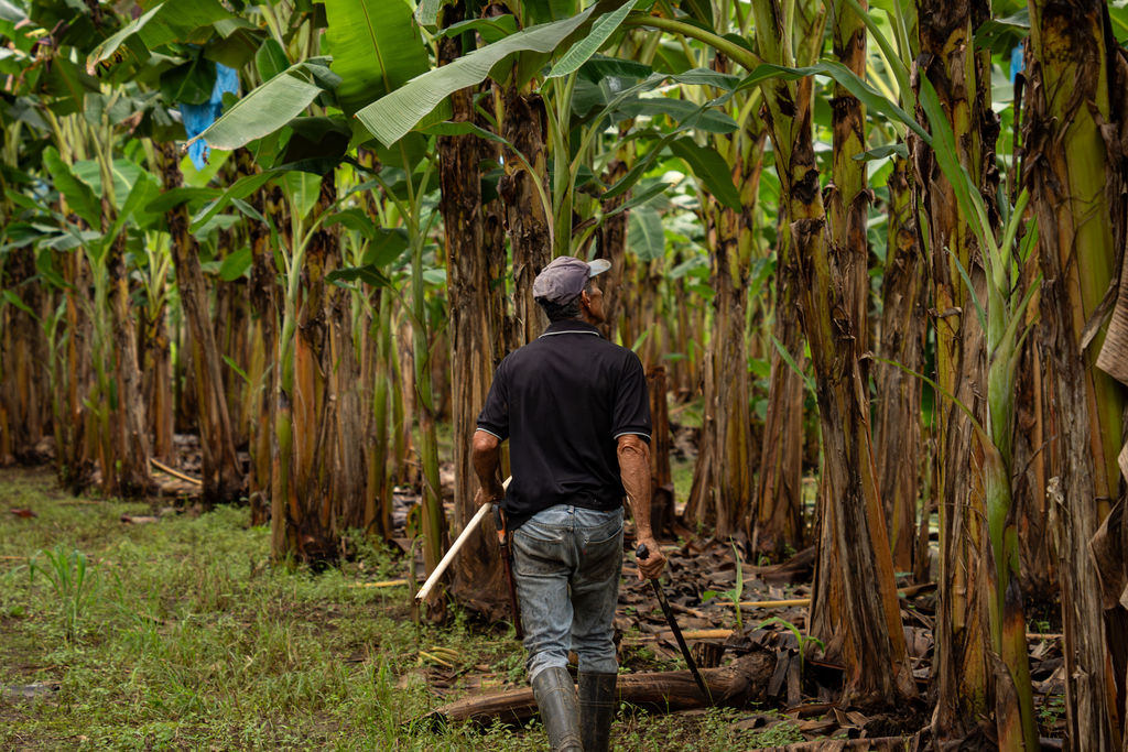 Camión de logística de Agrícola Zuga